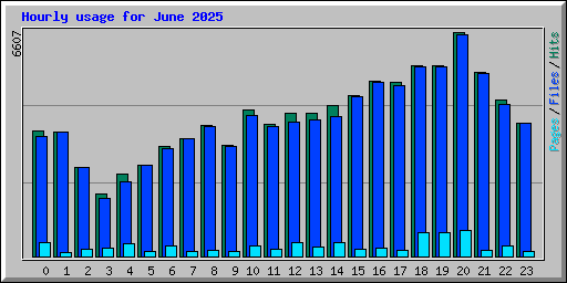 Hourly usage for June 2025