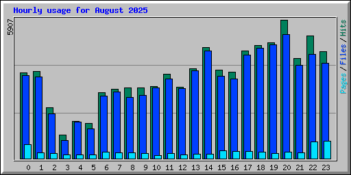 Hourly usage for August 2025