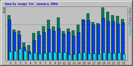 Hourly usage for January 2026